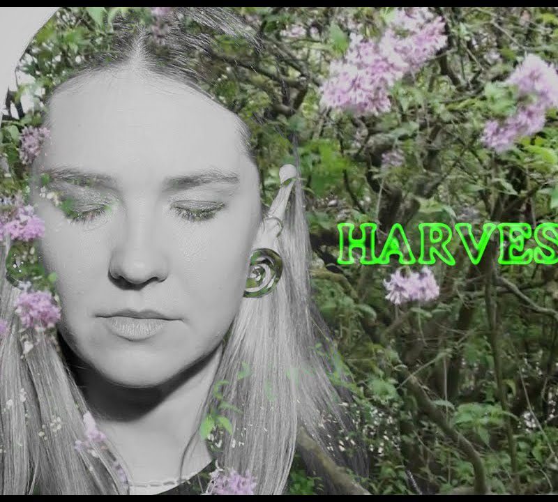 KAROLINA CZARNECKA – HARVESTER